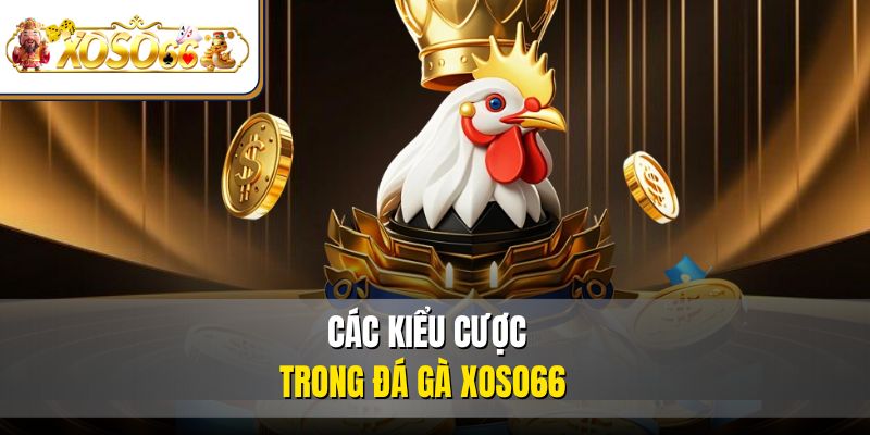 Các kiểu cược trong đá gà XOSO66 