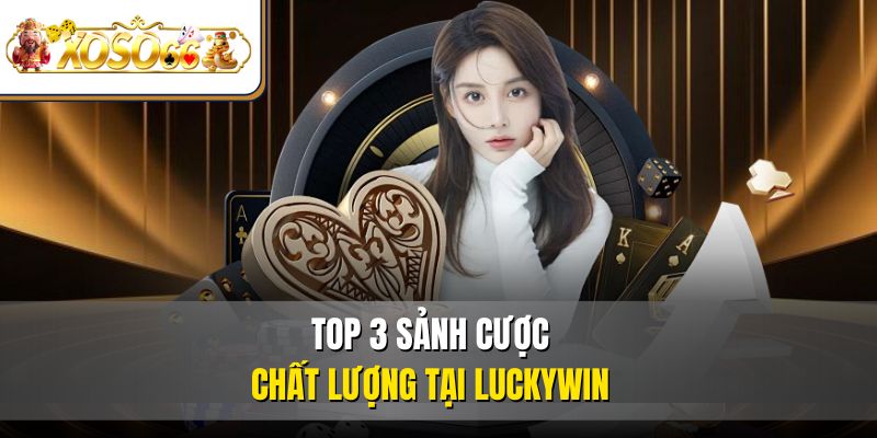 Luckywin 3 Top 3 sảnh cược chất lượng tại Luckywin